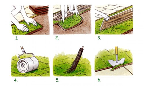 Как уложить рулонный газон