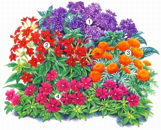 Пример оформления цветника в ярких цветах